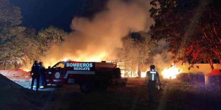 Invitan a prevenir incendios forestales en Solidaridad