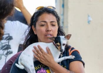 Refuerza Estefanía Mercado bienestar animal en Playa del Carmen