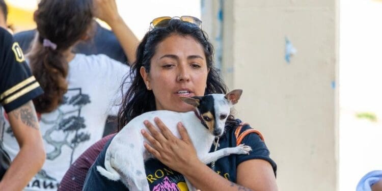 Refuerza Estefanía Mercado bienestar animal en Playa del Carmen