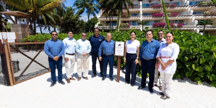 Estefanía Mercado refuerza la protección de tortugas marinas en el arranque de la temporada de anidación