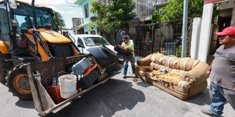 Estefanía Mercado recolecta casi 80 mil toneladas de residuos en Playa del Carmen.