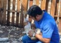 Gobierno de Estefanía Mercado lleva el programa “Veterinario en tu Rancho” a comunidades rurales
