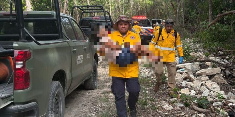 Respuesta inmediata y coordinación permiten localizar con vida a mujer extraviada en Playa del Carmen