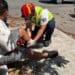 Gobierno de Estefanía Mercado brinda más de 150 atenciones prehospitalarias gratuitas cada semana